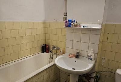 NORD-Cameliei-2cam - cubulet, cf1,dec,3/4, imbun - 55000 eu - 1