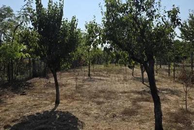 Casa, teren generos Magurele, sat Iazu, Prahova - 11