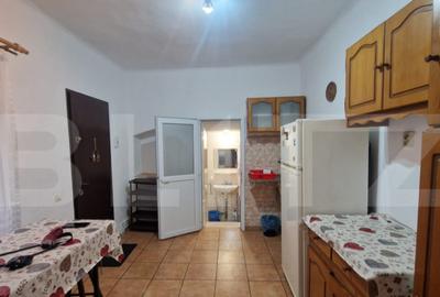 Casa in Centru Istoric, pod, pivnita, mobilata, 40 mp - 6