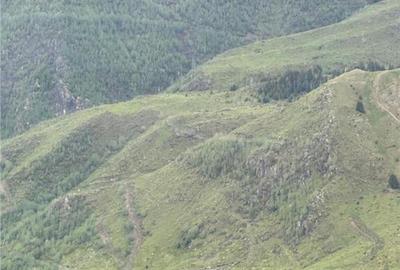 SUPER OPORTUNITATE, DE VANZARE O PROPRIETATE SPECIALA, MUNTE - 6