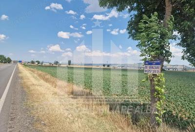 Teren agricol la sosea, pretabil si ptr constructii industriale - 1