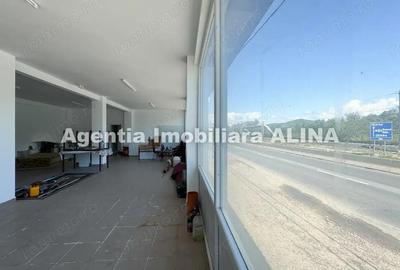 Spatiu comercial spre iesire din Loc. Deva (spre Mintia) zona Izvorul Decebal, Jud. Hunedoara. - 17
