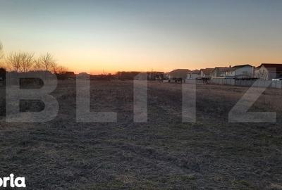 Teren de 13726 mp, în Mehala - 1