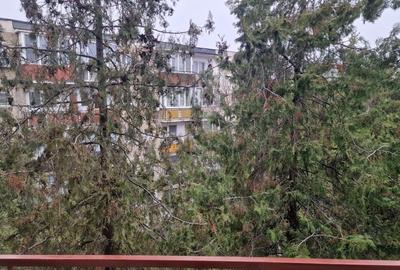 Apartament cu 2 camere decomandat, mobilat în Micălaca - 7