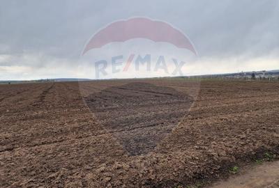 Teren 10,000mp Bacau / Strada Alexandru Safran - 9