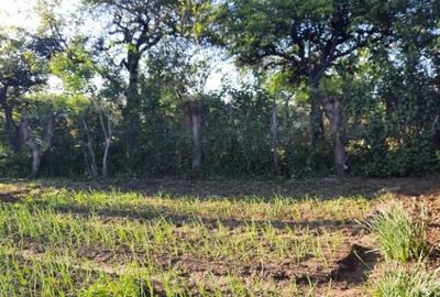 Teren intravilan, casa demolabila in Dumbravesti, Prahova - 7
