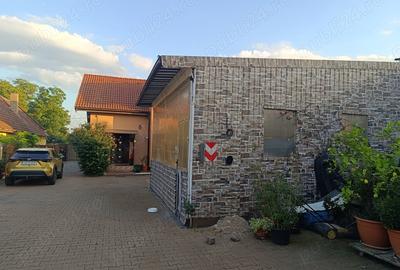 Vand Casa cu Service Auto Hala depozitare in Utvin - 5