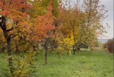 Teren de 500 mp, în Podu Iloaiei - 13