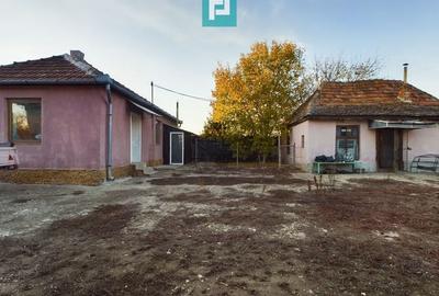 Teren generos și casă în Sânnicolau Mic - 13