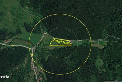 Teren de 6000 mp, în Vețel - 4