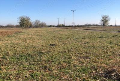 Teren de 2500 mp, în Gura Câlnăului - 3