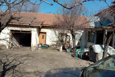 Casă cu Teren 1920 Mp în Central - 3