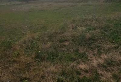 Spațiu comercial, în Liliești - 5