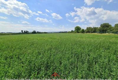 Teren intravilan in Urleta 5300mp--45.050e - 9