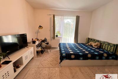Casa de vanzare in Sebes - 7