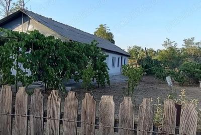 Vand casa cu teren de 2080 mpin Dor Marunt - 2