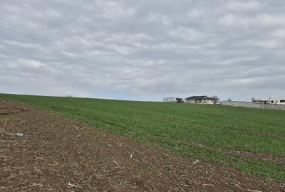 Teren 2500 mp – Izvorani | Deschidere directa la lac - 2