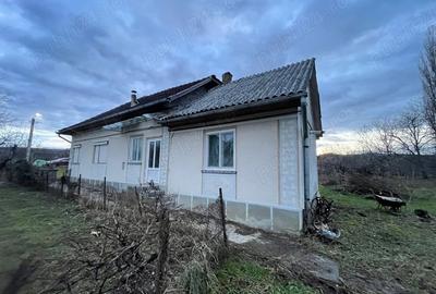 Casă cu 2 camere în Șomcuta Mare - 1