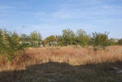 Spațiu comercial, în Teiș