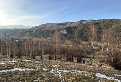 Teren 2,5 hectare in Simon, comuna Bran - 2