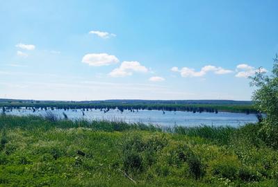 Vand teren intravilan 4000MP cu  dechidere la Delta Neajlovului, Comana GR - 1