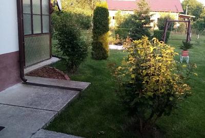 Casă cu Teren 1989 Mp în Ciritei - 8