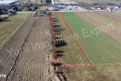 Spațiu comercial, în Băiculești - 4