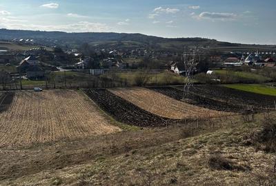 Teren de 9000 mp, în Baciu - 10