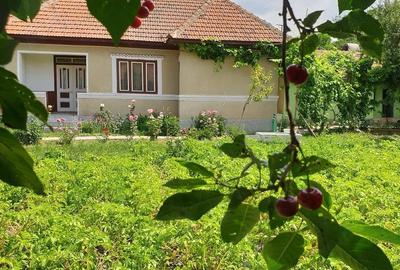 Casă cu 3 camere în Adâncata - 5