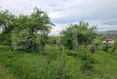 Teren de 1500 mp, în Gilău - 2