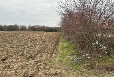 Teren de 2055 mp, în Brădești - 3