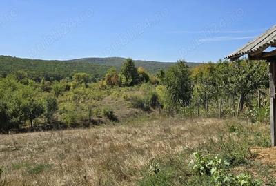 Casă cu 2 camere în Chicerea - 6