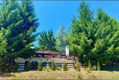 Casă cu 3 camere cu Teren 1800 Mp în Colibița - 7