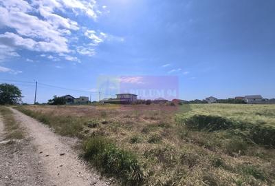 Teren Construcții intravilan de 1167 mp, în 1 Decembrie