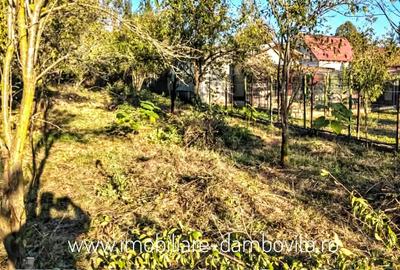 Teren de 2698 mp, în Gura Ocniței - 1