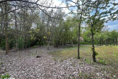 Spațiu comercial, în Malu Mare - 2