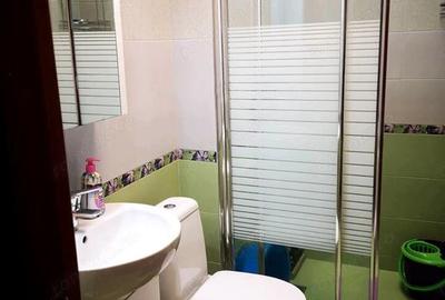 Garsonieră în Buziașului