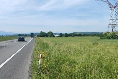 Teren de 10889 mp, în Băcia - 2