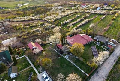 Teren de 900 mp, în Bârnova - 3