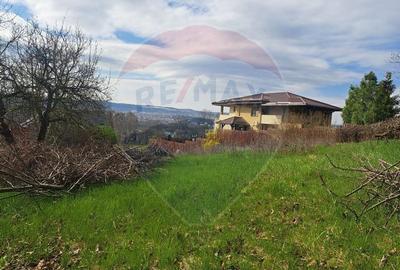 Teren intravilan de vanzare, 600 mp, Cluj-Napoca, Strada Viile Nadasel - 4