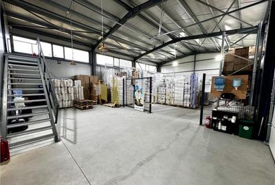 Hala industriala cu platforma betonata, in Paulestii Noi, a - 1