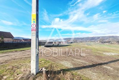 Teren Construcții intravilan de 3725 mp, în Bumbești-Pițic - 3
