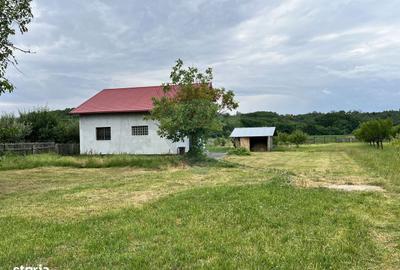 Casă cu 3 camere în Geamăna