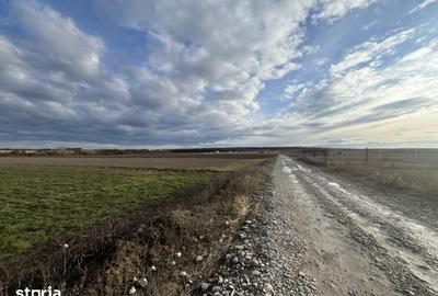 Teren de 11510 mp, în Sânmartin