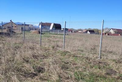 Teren Construcții intravilan de 600 mp, în Bod - 4