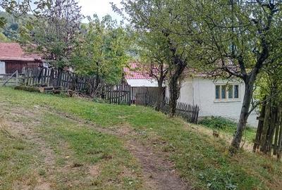 Teren de 50 mp, în Central - 8