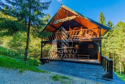 Casă cu 6 camere cu Teren 120 Mp în Râu de Mori - 13