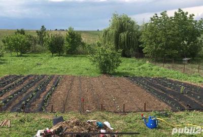 Casă cu 5 camere cu Teren 2000 Mp în Petrăchioaia - 1