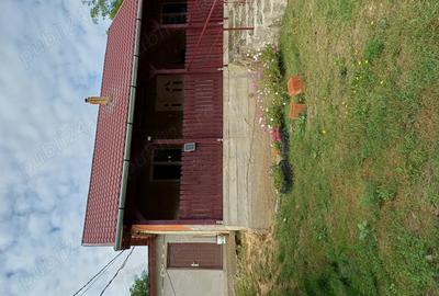 Ferma de vaci de vanzare - 5