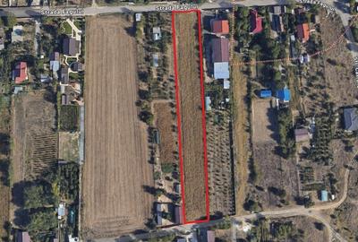 Teren agricol extravilan de 5000 mp, în Sud - 1